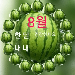 8월엔~~ 건강 지키며 시원한 여름 보내세요!! 메인페이지 미리보기