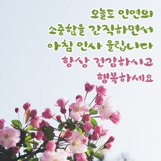 가을이 쏘옥~~문을 엽니다. (건강 하세요.!!)라고~~ 메인페이지 미리보기