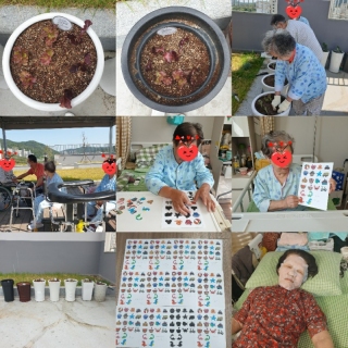 5월 28일~6월 3일 수업자료 메인페이지 미리보기