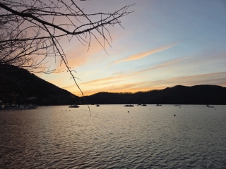 2026년 병오년 반갑습니다. 메인페이지 미리보기